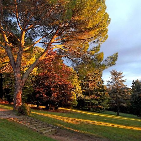 Domaine De Gailhaguet B&B Verfeil  Esterno foto