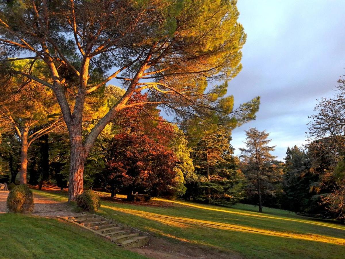 Domaine De Gailhaguet B&B Verfeil  Esterno foto